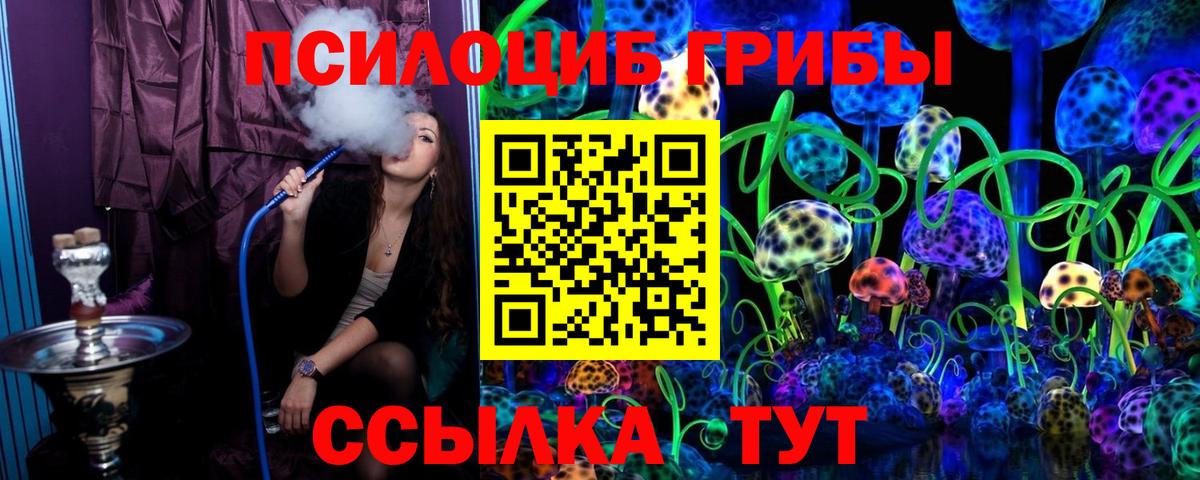 купить закладку  Псилоцибиновые грибы Psilocybe  Псилоцибиновые грибы Cubensis  Вход с VPN  Новошахтинск 
